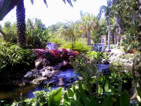 Places To Go Things To Do Florida Botanical Gardens Birds And