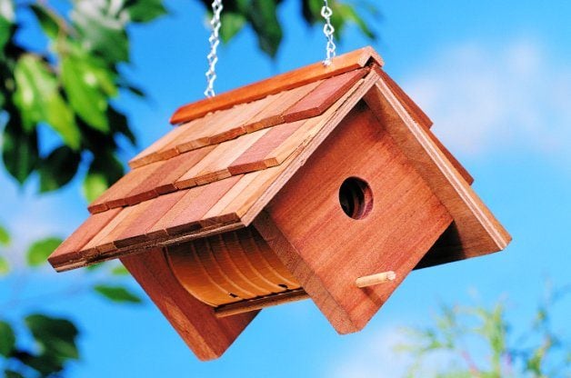 Coffee Can DIY Birdhouse | Backyard Projects - Birds and Blooms
