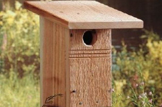 W1652 Cedar Cedar Birdhouses tercet Wood labor project cedar bird 