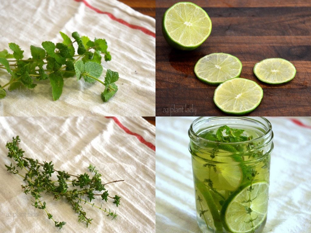 make this wonderful home air freshener out of lemon, thyme, and mint extract