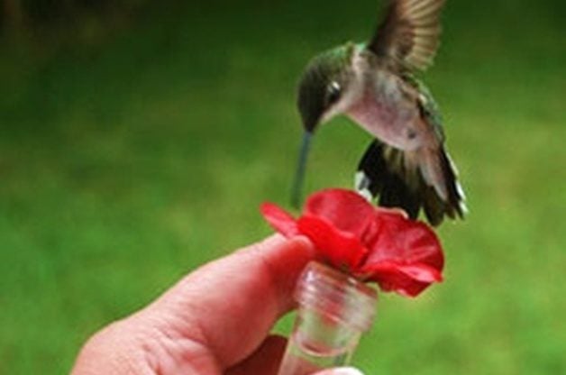 Make a Hand-Held Hummingbird Feeder
