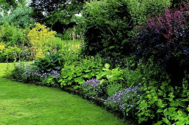 Gardening | Shade Gardening | Shade Garden Ideas