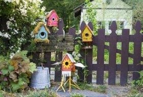 Birdhouses  How to Build a Birdhouse - Birds &amp; Blooms