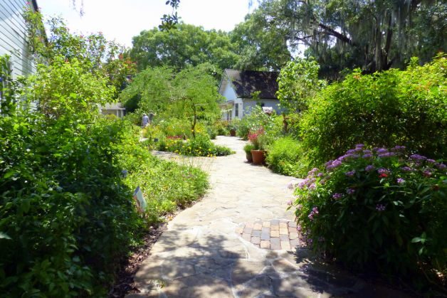 Harry P Leu Gardens In Orlando Flower Gardens
