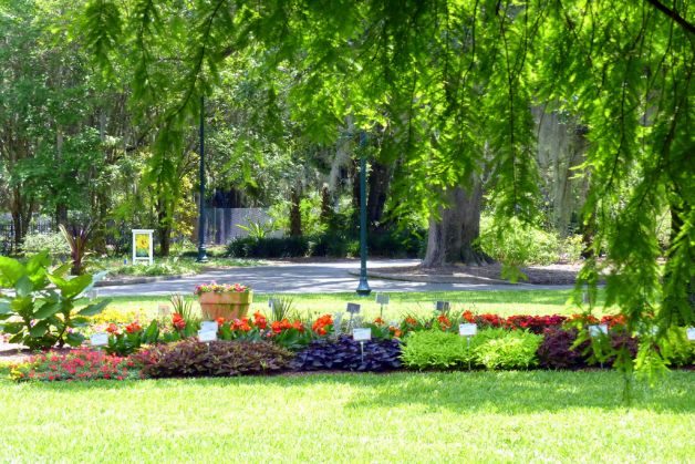 Harry P Leu Gardens In Orlando Flower Gardens