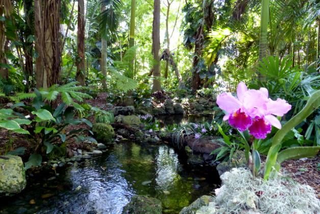 A Visit To Fairchild Tropical Botanic Garden Florida Botanical
