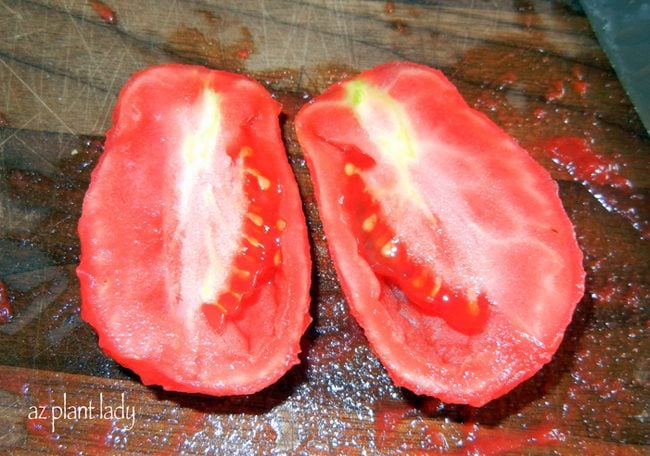 freezing fresh tomatoes