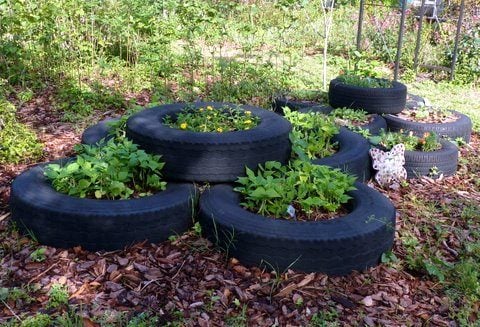 Tire garden