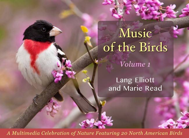Music of the Birds Volume 1