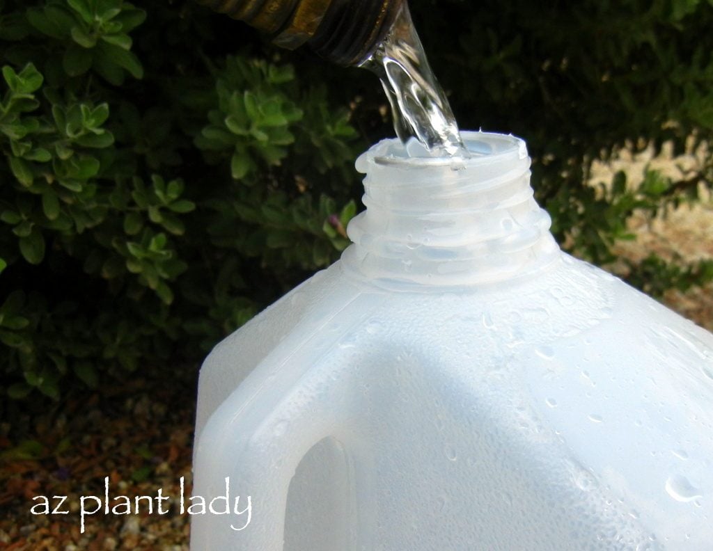 https://www.birdsandblooms.com/wp-content/uploads/2012/08/gallon-milk-jug-watering-plants.jpg