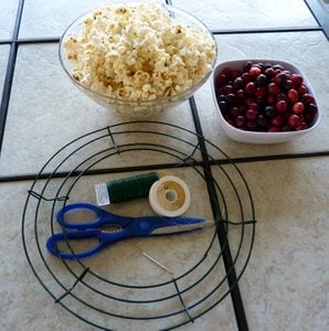 Popcorn Cranberry DIY Bird Feeder Wreath Materials