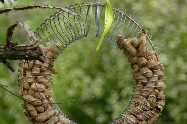 DIY Bird Feeders | Slinky DIY Bird Feeder for Peanuts