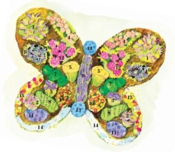 butterfly garden design