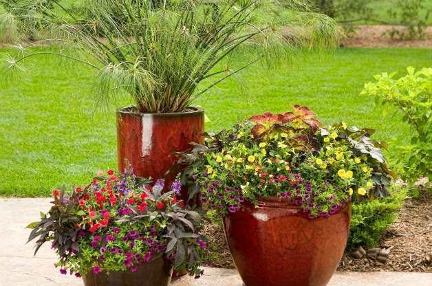 Small Space And Container Gardening, Container Gardening Ideas For Small Spaces