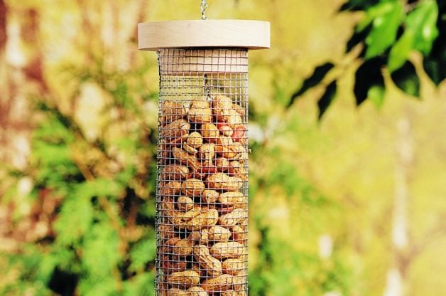diy bird feeder for peanuts