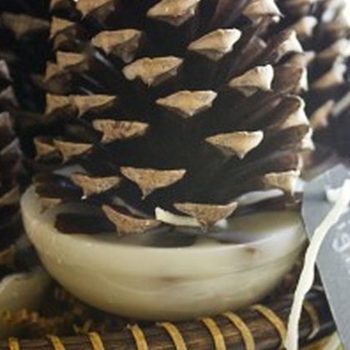 How to Make Pinecone Firestarters