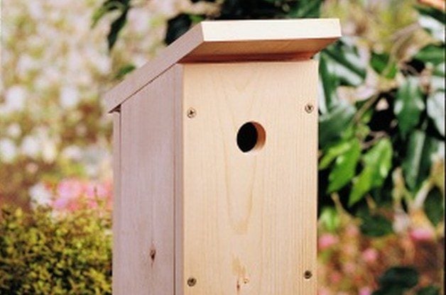 Completed Build a One-Board DIY Birdhouse