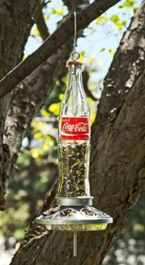 coke bottle glass hummingbird feeder 