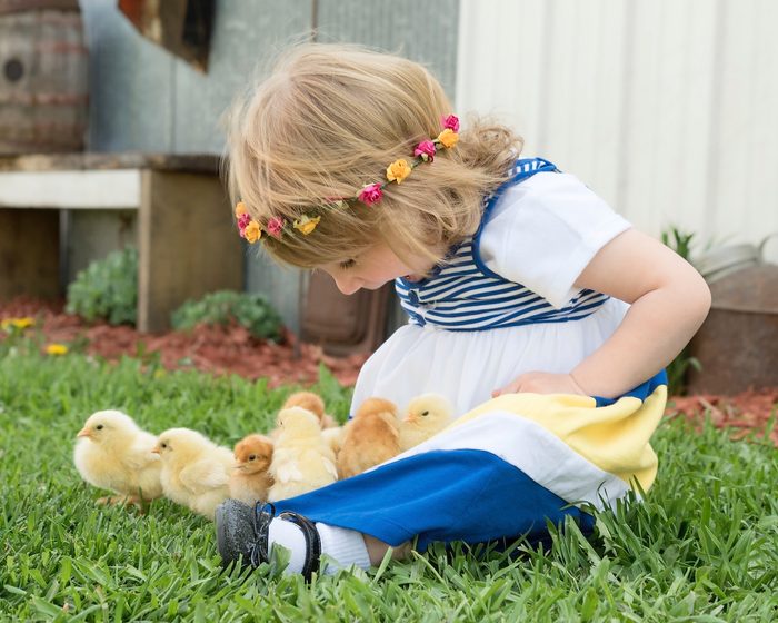 child with baby chicks