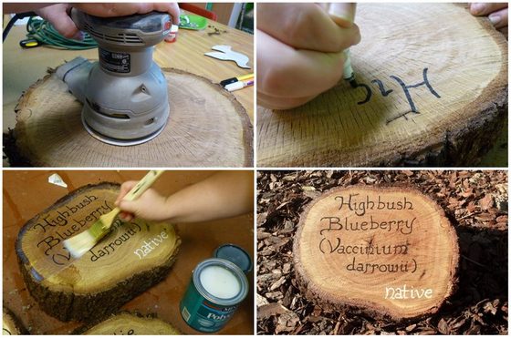Tree Cookie Plant Marker Signs HowTo