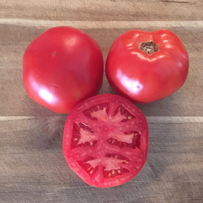 galahad tomato