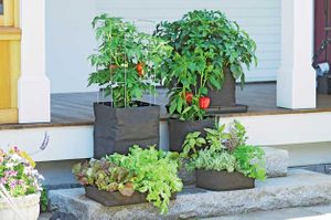 Gardening Made Easy: Alternative Gardening Ideas