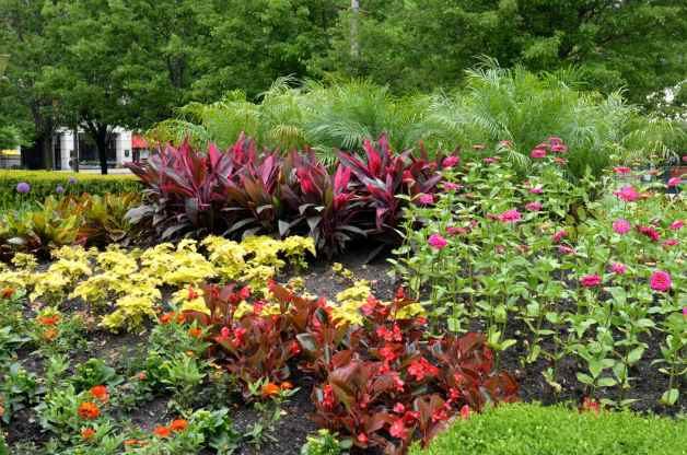 Garden Basics - research plants before buying