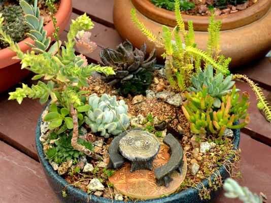 Miniature Dollhouse FAIRY GARDEN ~ Low Square Succulent Plants Planter ~ NEW 