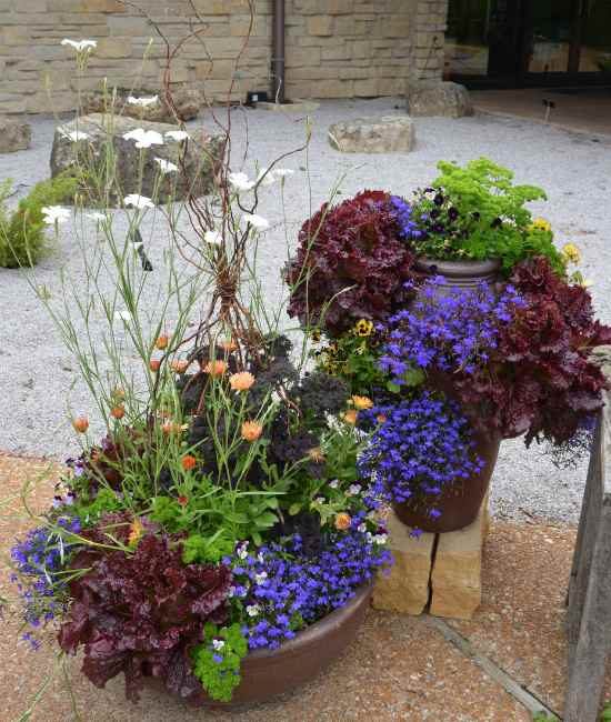 Vegetables, herbs and flowering annuals in containers.