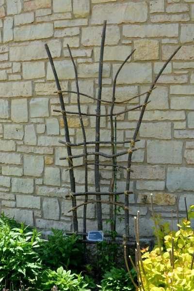 DIY trellis from tree branches
