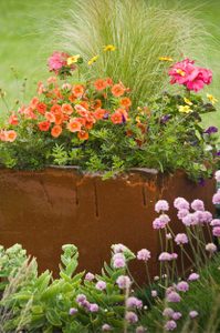 Container Ideas: Perennials in Pots