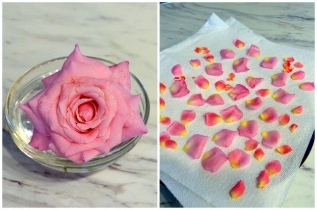 How to Dry Rose Petals, DIY Drying Rose Flowers