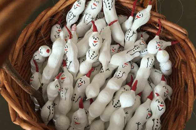 Cute snowmen made from the seed pods from the Texas Mountain Laurel (Sophora secundiflora).