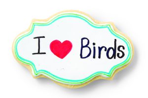 DIY Projects for the Home: Bird Cookies