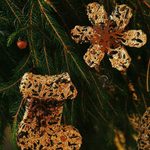 Make Your Own Bird Seed Ornaments