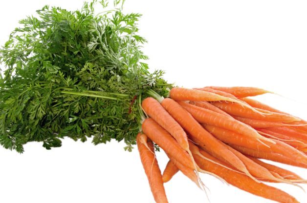 Fall Vegetables Carrots