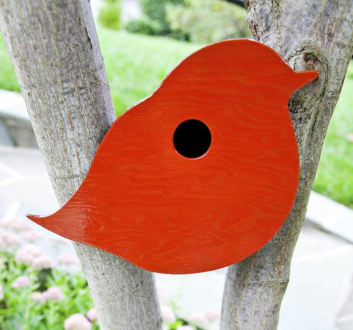 Orange bird shaped birdhouse