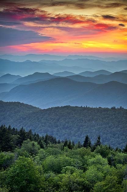 Birding Sites: Great Smoky Mountains National Park