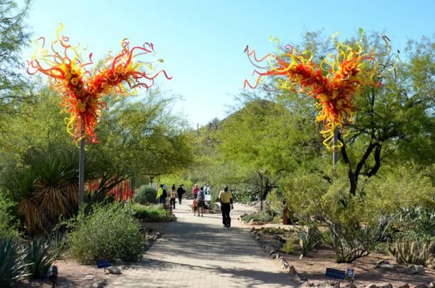 The Desert Botanical Garden in Phoenix, Arizona