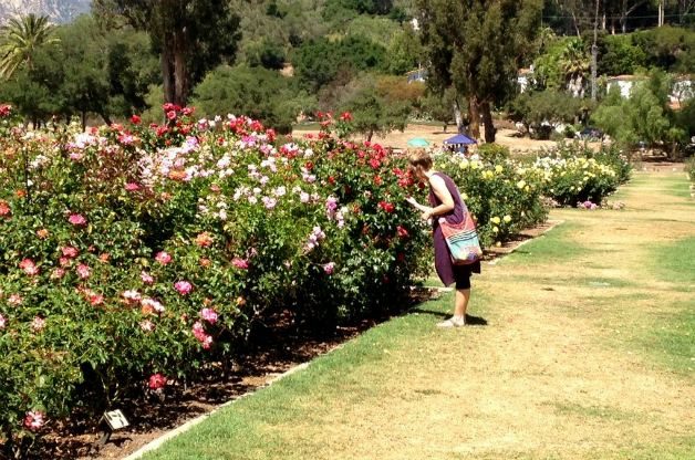 Santa Barbara Mission Rose Garden