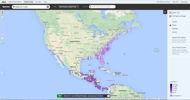 Baltimore oriole migration map