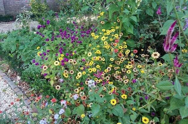 Flower Gardens at Mount Vernon