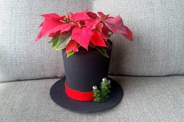 Top Hat DIY Plant Gift