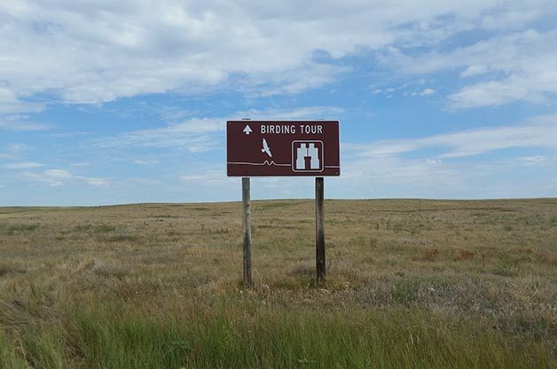 Birding Hotspots: Pawnee National Grasslands