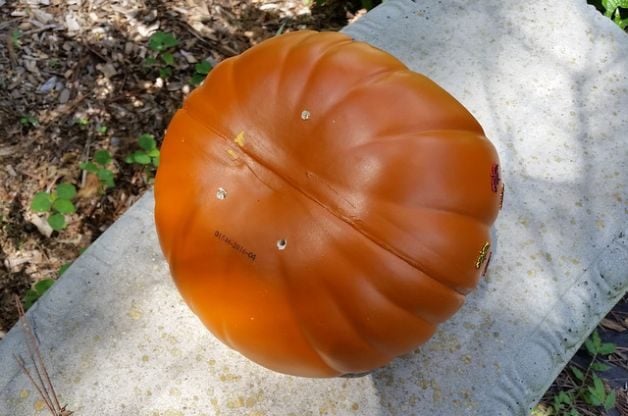 artificial pumpkin