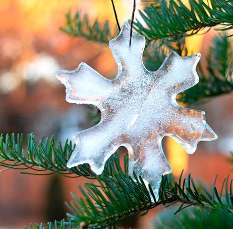 Michelle Lepak, blogger at dandelionpatina.com, shares how to make ornaments from ice.