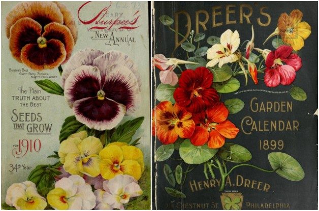 Vintage Seed Catalogs