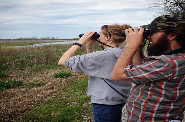 Keep your binoculars at the ready when you're trying to spot a rare bird!