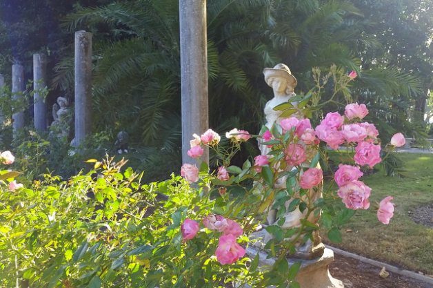 Mable Ringling's Rose Garden