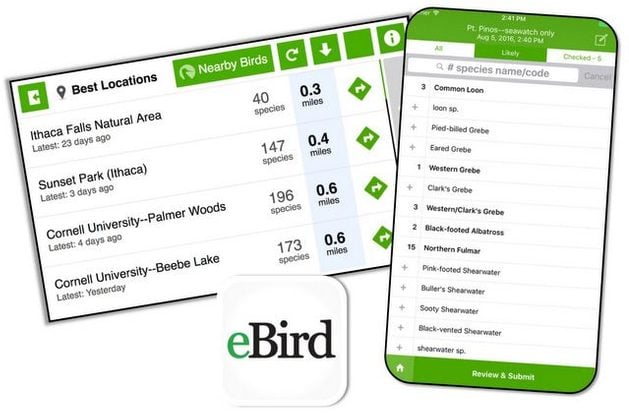 Birding Apps eBird